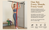 Resistance Band Set with Handles & Door Anchor – 5 Levels (8–125 lbs)