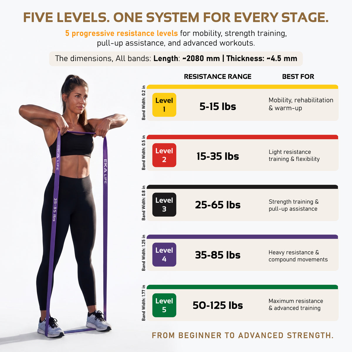 Resistance Band Set with Handles & Door Anchor – 5 Levels (5–125 lbs)